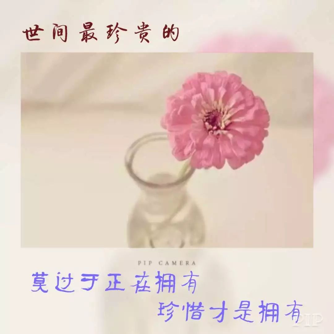 澳门新葡澳京