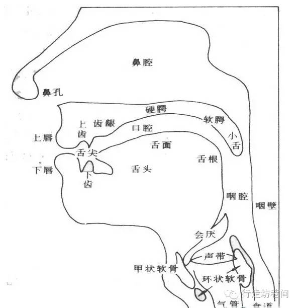 澳门新葡澳京